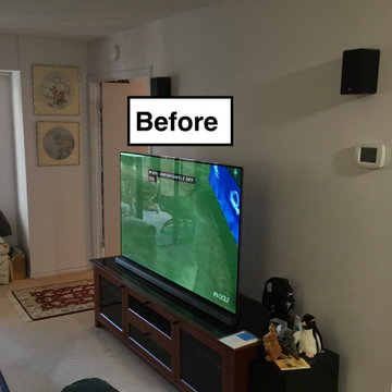 Rosslyn High-Rise Condo Total Remodel