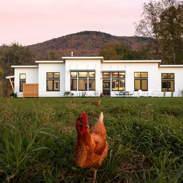 Modern Farmhouse