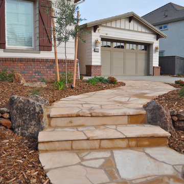 Lawn Replacement