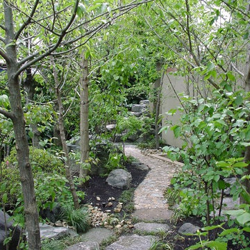 東大阪の庭