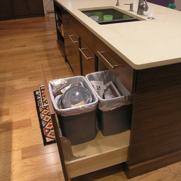 Contemporary Zebrawood Kitchen