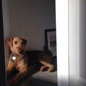 Rach Willacy's photo
