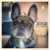 Foto von Gerty Mas