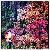 Marci Fullilove's photo