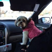 Janice Schulte's photo