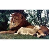 Gary Anderson's photo