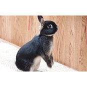 Peggy Gilliard's photo