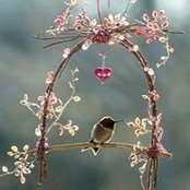 Michelle McClellan's photo