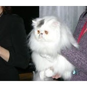 Елена Семенюк's photo