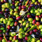 Nancy Kinyanjui's photo