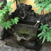 susan grace's photo