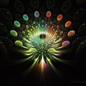 Steven Frank's photo
