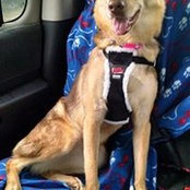 Elisa Kozinn-Hanlon's photo