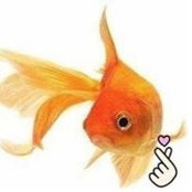 Jos Tomboy's photo