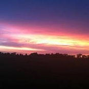 Joel Hoffman's photo