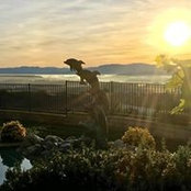 Steve Darrow's photo