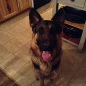 Jennifer Bushey's photo