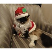 Leticia Valverde's photo