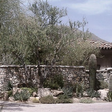southwestern landscape