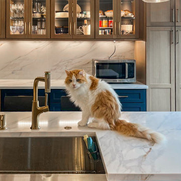 Luxury Kitchen Remodel in Philadelphia | Modern Transitional Design