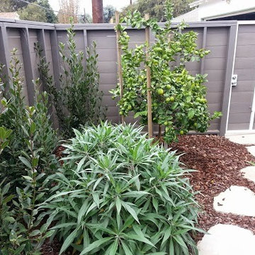 Santa Monica Fence Project