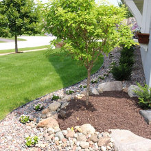 Front Yard Landscape