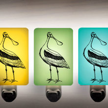 birds