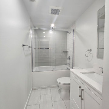 Chicago Basement Bathroom