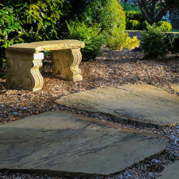 Backyard Landscape Design