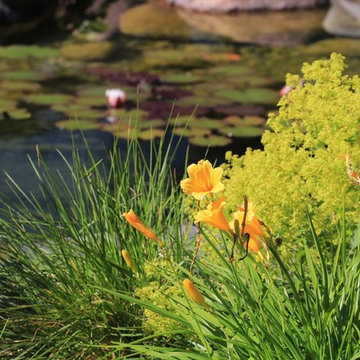 Garten Schwimmteich