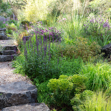 Garden Meadow