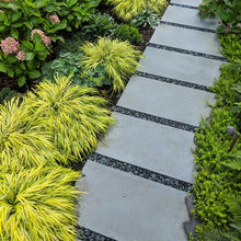 Backyard Ideas
