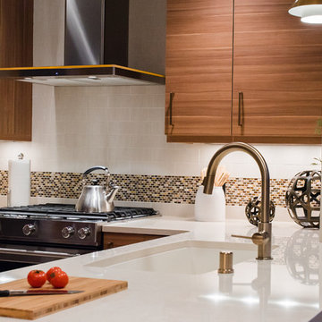 Midcentury Modernized