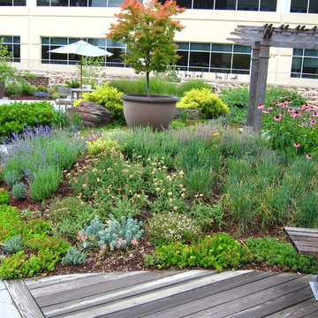ROOFTOP GARDEN / A Long Term Heritage Project