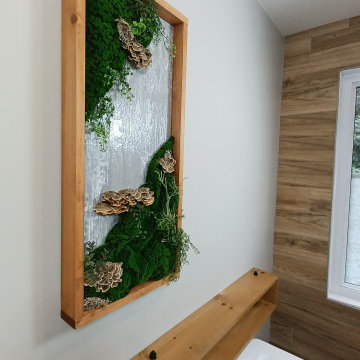 Green Wall Art_ preserved Turkey Tail Mushrooms