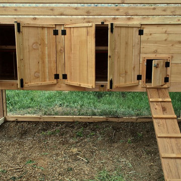 Modern Chicken Coop