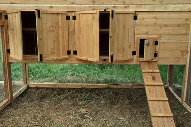 Modern Chicken Coop