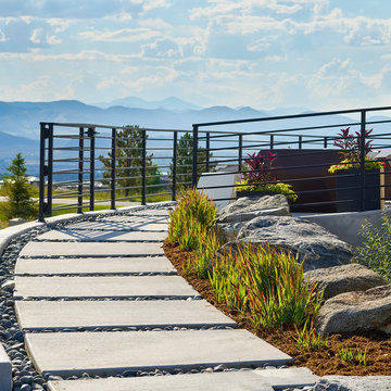 Contemporary Conservation