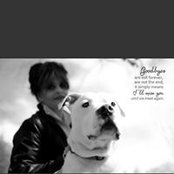 Terri Logan's photo