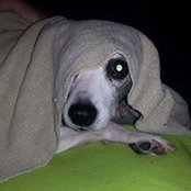 Diann Chapman-Bourden's photo