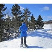 Renée Jalbert's photo