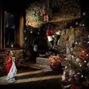 Tara Tremblay's photo