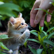 Elaine Pan's photo