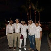 Wallace Pinho's photo