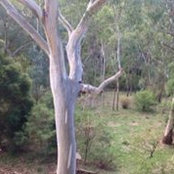 Geri Overberg's photo