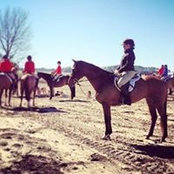 Cathy Carr Taber's photo