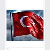 Foto de Seher Berberoglu
