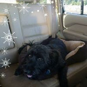 Amy Brech's photo