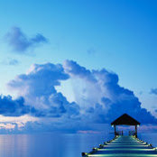Phil McNealy's photo