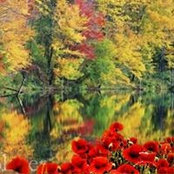 Sharon Paille's photo